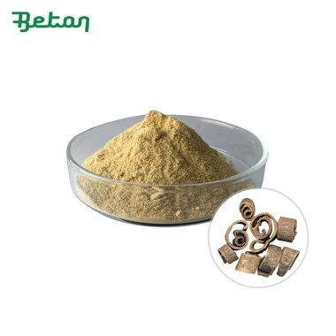 Lífrænt Magnolia Officinalis útdráttarduft